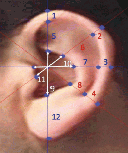 Example ear recognition